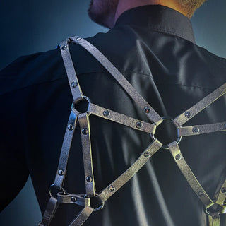 Harness