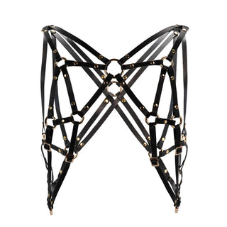 Asche & Gold Camillo Harness Lederharnisch