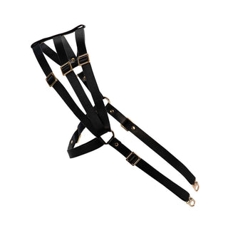 Asche & Gold César Harness Lederharnisch