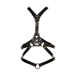 Asche & Gold Amelia Harness schwarz/gold