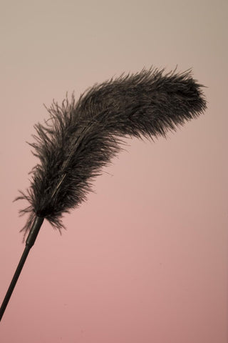 Sportsheets Body Tickler Ostrich