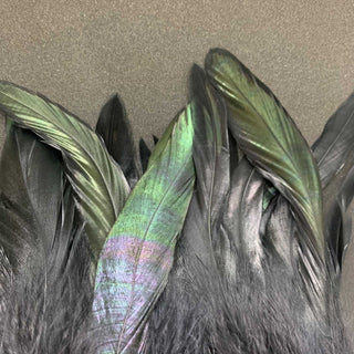 Feder Armband schwarz