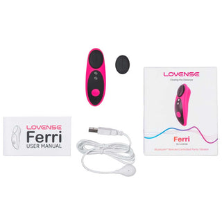 Lovense Ferri Panty Vibrator