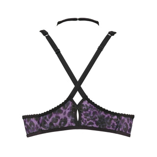 Marlies Dekkers Peekaboo Push Up BH schwarz purple leopard