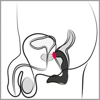 Rebel Prostata Stimulator Vibrator schwarz