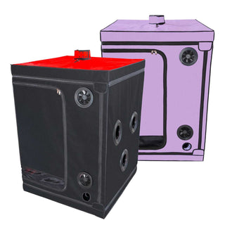 Secret Dome Scandale BSDM Kabine