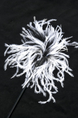 Sportsheets Whip & Tickle