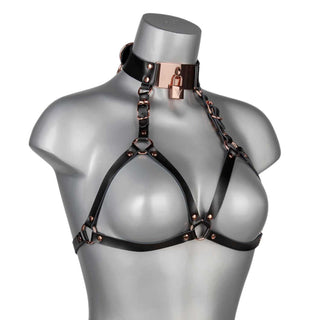VoyeurX Leder Lock Harness BH Secured