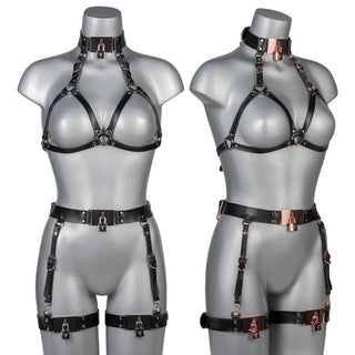 VoyeurX Garterbelt Lock
