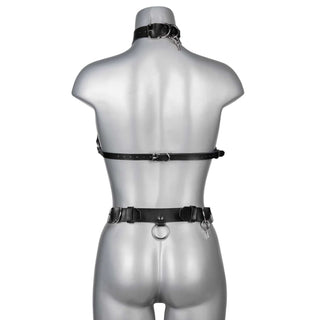 VoyeurX Leder Lock Harness BH Secured