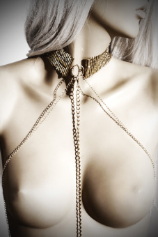 Bijoux Indiscrets - Desir Metallique Collar 