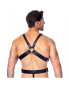 Leder-Harness mit Cockring 