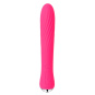 Svakom Anya Plum Red - Allround Vibrator 