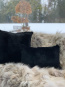 von Hohenstein Fellkissen Hase Cashmere schwarz 