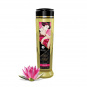 SHUNGA Massage Oil 240 ml 