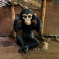Die Affen sind los | schwarz | 35 cm  3-er Set 