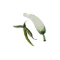 Glassvibrations GREEN PEPPER 