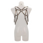 Asche & Gold Camillo Harness Lederharnisch gold/gunmetal