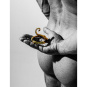 Esculpta Jockring SCORPIO gold 
