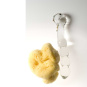 Glassvibrations MAGIC SEAHORSE - Glasdildo 