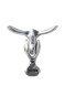 Esculpta Bulgebooster Pro Add on Value Pack Silber für Jockring 