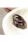 Esculpta Le Cock Ring III - IMPERATOR Cockring 