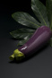 Selfdelve  AUBERGINE 